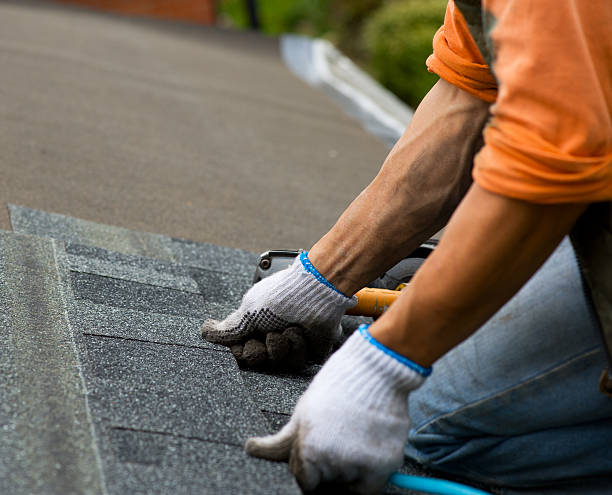 Best Storm Damage Roof Repair  in Kaneohe, HI